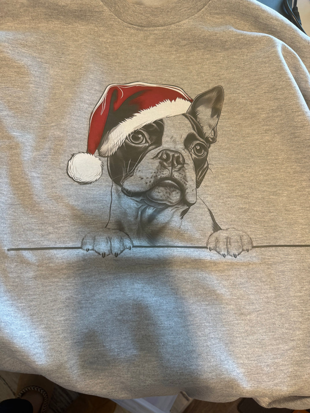 Santa Hat Doggy Graphic