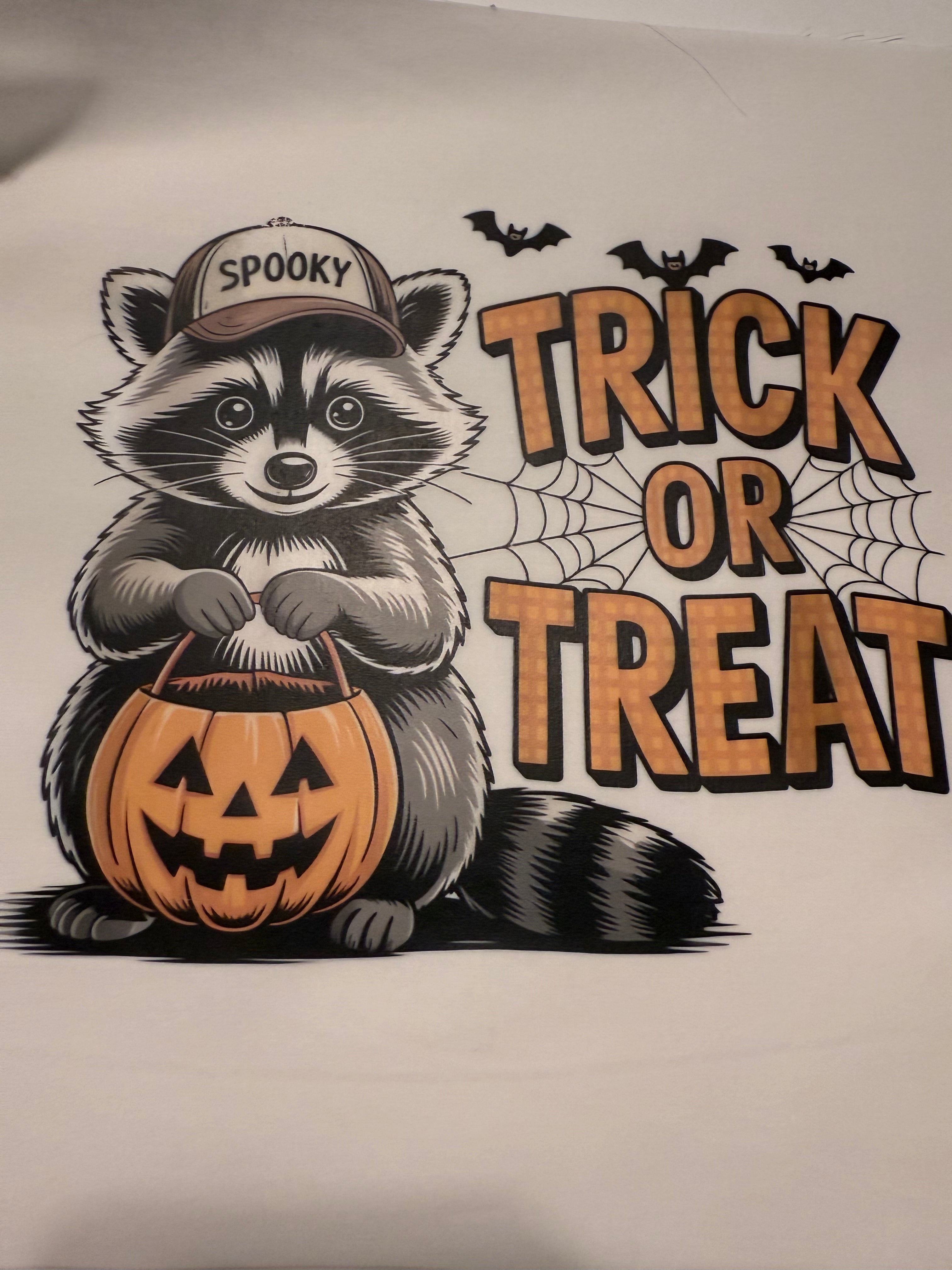 Raccoon Trick or Treat