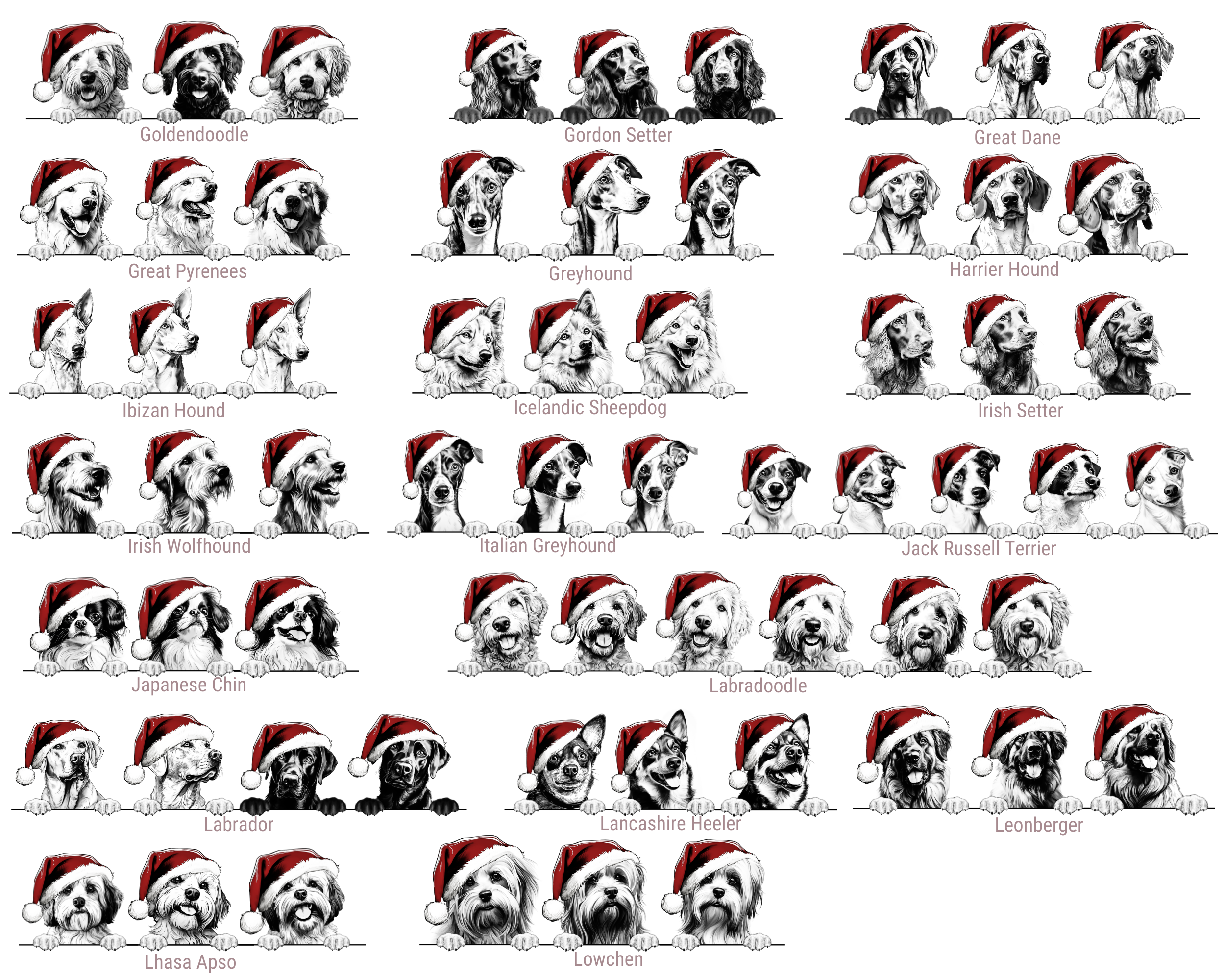 Santa Hat Doggy Graphic