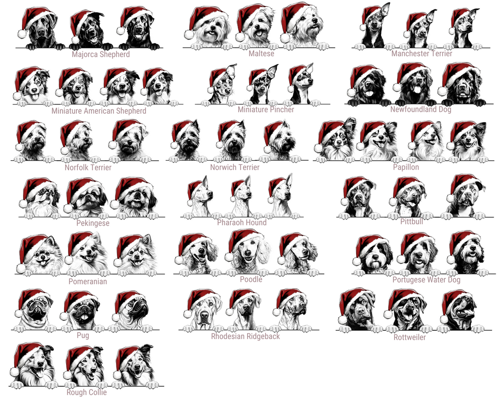 Santa Hat Doggy Graphic