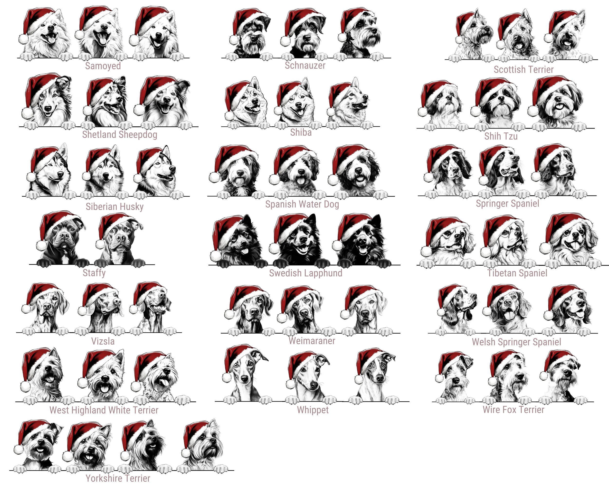 Santa Hat Doggy Graphic